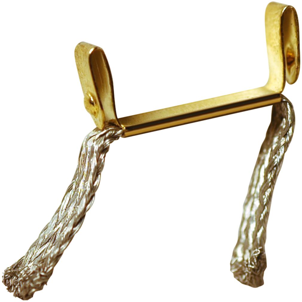 Available To Order – Double Brushes, 10 pcs, from 2007 Slot Accessories (CRR 20020365)