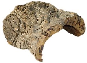 Available To Order – Medium Cork Bark (JAV JMCB)