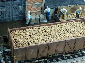Available to Order – Sugar Beets, 150g 1:45 (JUW 24096)