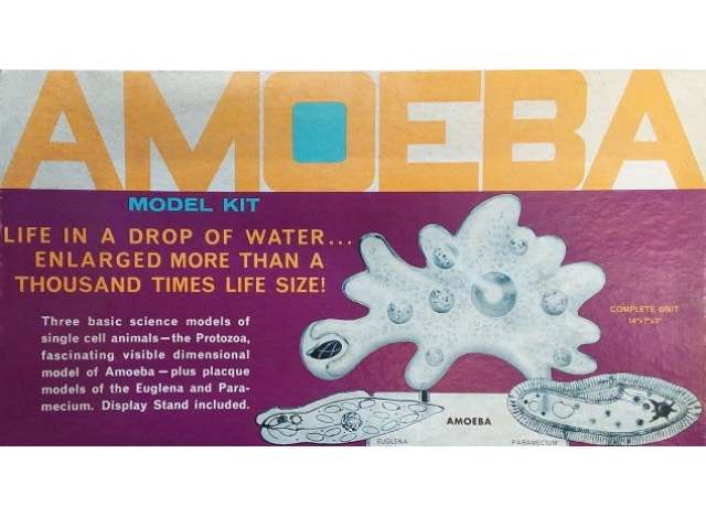 Amoeba Single Cell Model Kit *STEM*, plastic modelkit Atlantis Model
