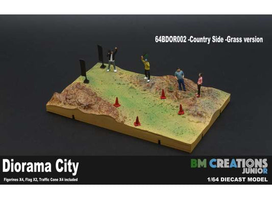 Rally Diorama Country Side Grass Version. 1:64 BM Creations Model