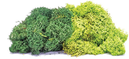 Available To Order – Lichen - Large Green Mix 1:76 (HOR R7195)