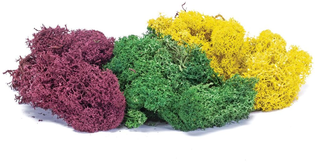 Available To Order – Lichen - Large Autumn Mix 1:76 (HOR R7197)