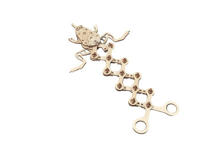 Available to Order – Frog (83 Pieces) (200x200x30mm) (PWD 10009)
