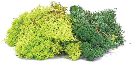 Available To Order – Lichen - Green Mix 1:76 (HOR R7194)