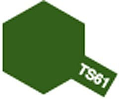 Ts-61 Nato Green Tamiya Model
