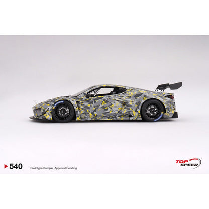 Available To Order – Corvette Z06 GT3.r 2022 Sebring Test Car 1:18 Top Speed Model Car (TS0540)