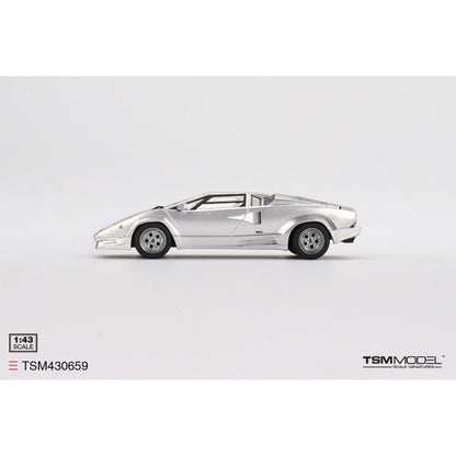 Available to Order – Lamborghini Countach 25th Anniversary Grigio 1:43 TrueScale Miniatures Model (TSM430659)